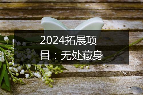 2024拓展项目:无处藏身