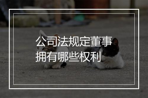 公司法规定董事拥有哪些权利