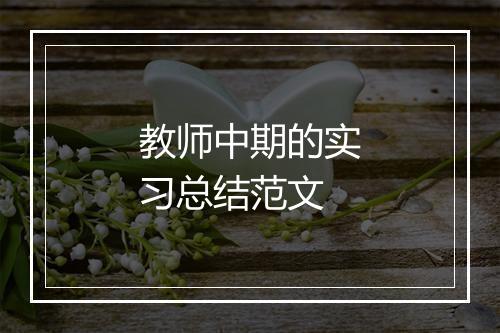 教师中期的实习总结范文