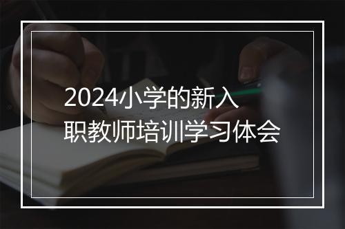 2024小学的新入职教师培训学习体会