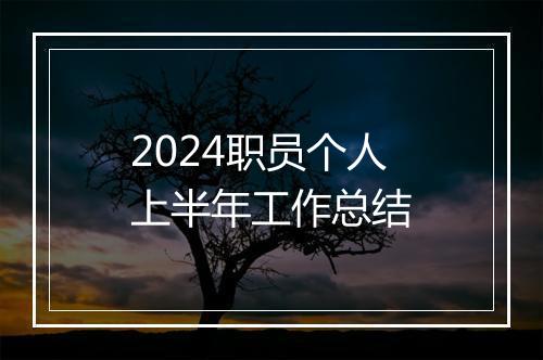 2024职员个人上半年工作总结