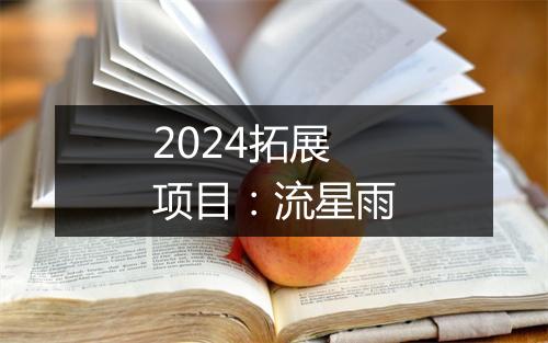 2024拓展项目:流星雨
