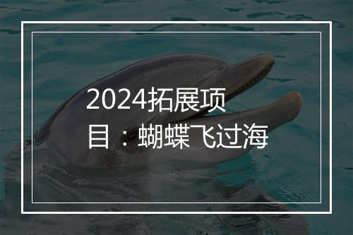 2024拓展项目:蝴蝶飞过海