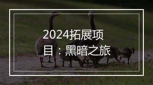 2024拓展项目:黑暗之旅