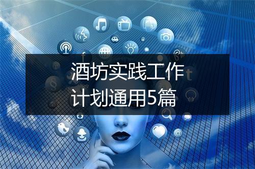 酒坊实践工作计划通用5篇