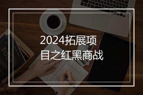 2024拓展项目之红黑商战