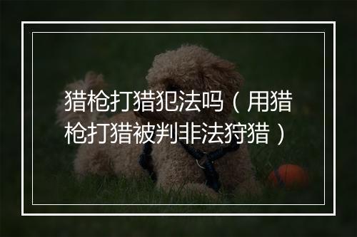 猎枪打猎犯法吗(用猎枪打猎被判非法狩猎)