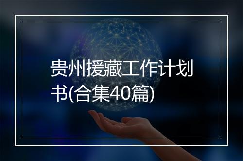 贵州援藏工作计划书(合集40篇)