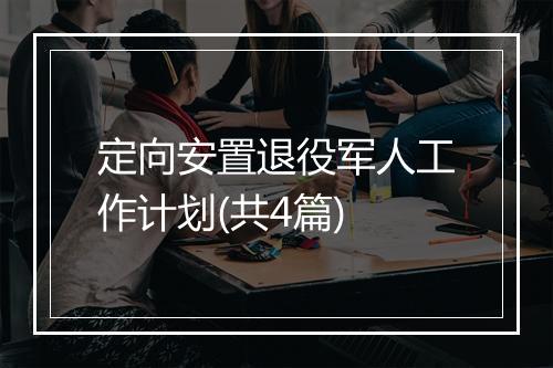定向安置退役军人工作计划(共4篇)