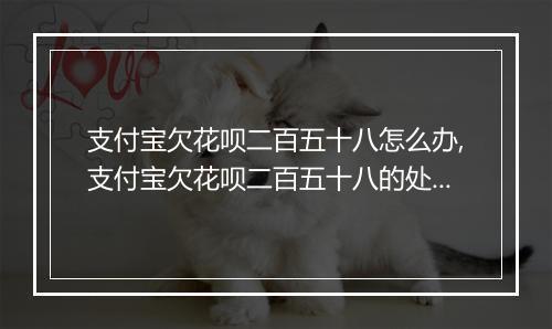 支付宝欠花呗二百五十八怎么办,支付宝欠花呗二百五十八的处理