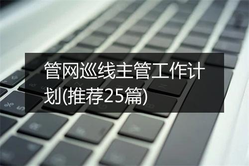 管网巡线主管工作计划(推荐25篇)