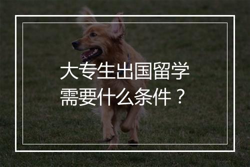 大专生出国留学需要什么条件?