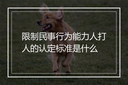 限制民事行为能力人打人的认定标准是什么