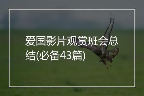 爱国影片观赏班会总结(必备43篇)