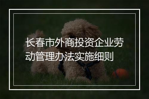 长春市外商投资企业劳动管理办法实施细则