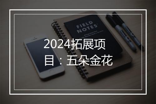 2024拓展项目:五朵金花