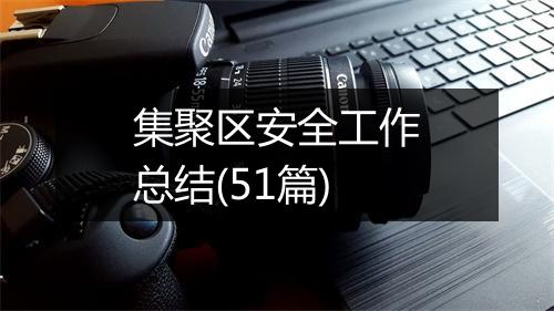 集聚区安全工作总结(51篇)