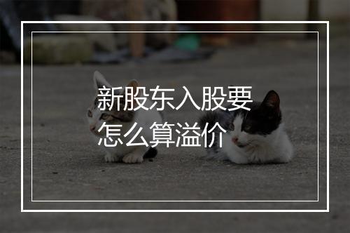 新股东入股要怎么算溢价