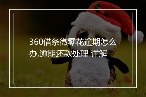 360借条微零花逾期怎么办,逾期还款处理 详解