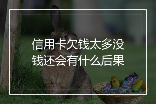 信用卡欠钱太多没钱还会有什么后果