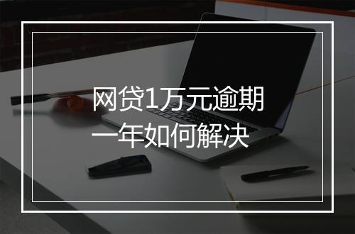 网贷1万元逾期一年如何解决