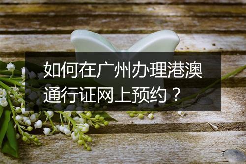 如何在广州办理港澳通行证网上预约?