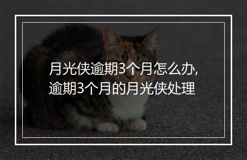 月光侠逾期3个月怎么办,逾期3个月的月光侠处理