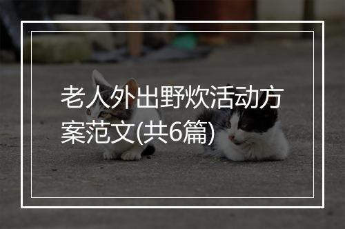 老人外出野炊活动方案范文(共6篇)