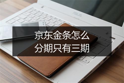 京东金条怎么分期只有三期