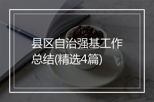 县区自治强基工作总结(精选4篇)