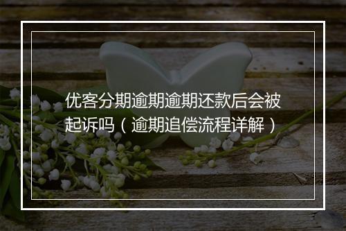优客分期逾期逾期还款后会被起诉吗(逾期追偿流程详解)
