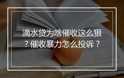 滴水贷为啥催收这么狠?催收暴力怎么投诉?