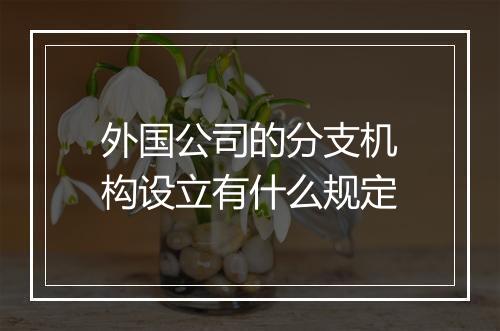 外国公司的分支机构设立有什么规定