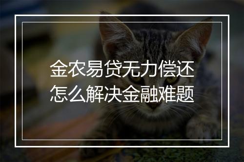 金农易贷无力偿还怎么解决金融难题