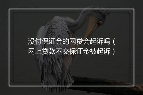 没付保证金的网贷会起诉吗(网上贷款不交保证金被起诉)