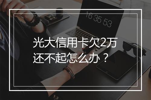 光大信用卡欠2万还不起怎么办?