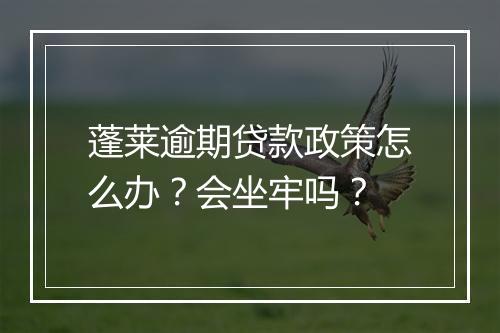 蓬莱逾期贷款政策怎么办?会坐牢吗?