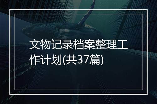 文物记录档案整理工作计划(共37篇)