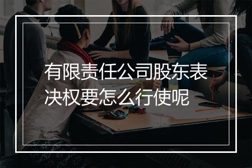 有限责任公司股东表决权要怎么行使呢