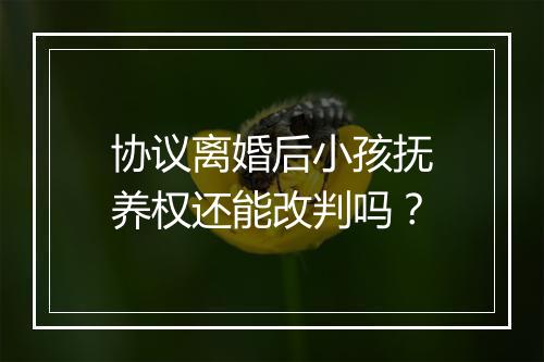 协议离婚后小孩抚养权还能改判吗?