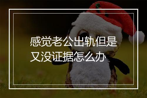 感觉老公出轨但是又没证据怎么办