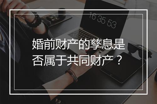 婚前财产的孳息是否属于共同财产?