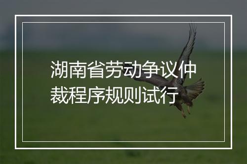 湖南省劳动争议仲裁程序规则试行