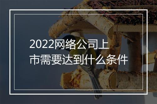 2022网络公司上市需要达到什么条件