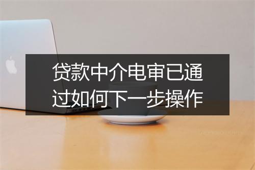 贷款中介电审已通过如何下一步操作