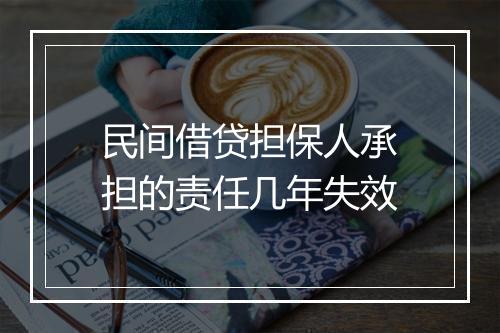 民间借贷担保人承担的责任几年失效