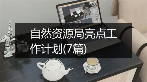 自然资源局亮点工作计划(7篇)