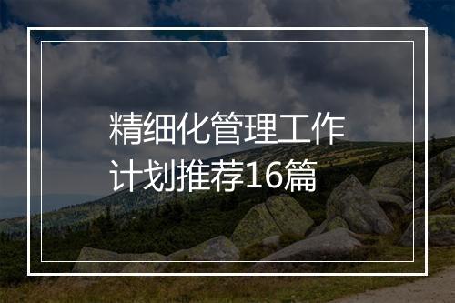 精细化管理工作计划推荐16篇