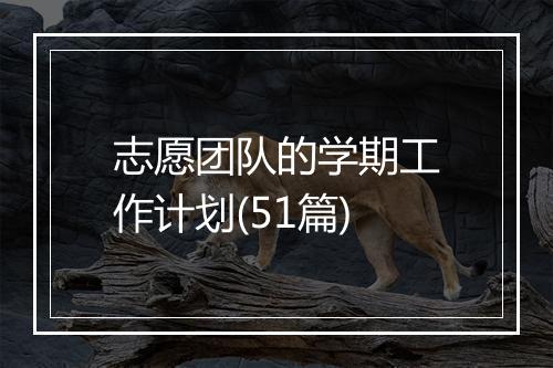 志愿团队的学期工作计划(51篇)