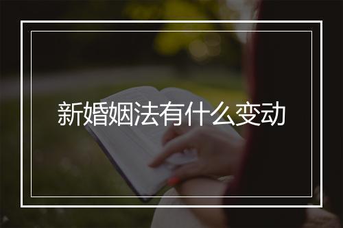 新婚姻法有什么变动